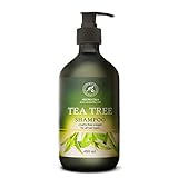 Teebaumöl Shampoo 480ml - Teebaumöl & Stachelbeeren & Rosmarin - Tiefenreinigung - Anti Dandruff & Trockene Kopfhaut für Haarwachstum und Volumen - Sulfatfreies Shampoo