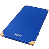 ALPIDEX Matte Turnmatte Sportmatte Gymnastikmatte 200 x 125 x 8 cm mit Antirutschboden und Lederecken RG 80 (weich)