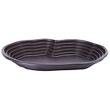 Reptilienpool – Badezimmer für | 39 x 27 x 5 cm große Wasserschale für Reptilien, Kletterspielzeug mit rundem Loch