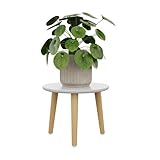 Bamworld Blumenständer klein – Moderner Beistelltisch & Pflanzenständer aus Holz, Rundes Design für Wohnzimmer & Balkon Deko 20X28