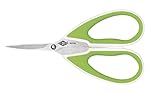 Wedo 9754060 Allround Bastelschere Comfortline, rostfreier Edelstahl, 15 cm, spitze Scherenblätter, mit Spezialschliff Softgriff) apfelgrün/weiß