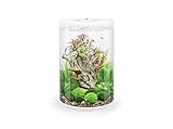 biOrb 72067 TUBE 30 LED, weiß (30 L) - 360-Grad Deko-Aquarium | Komplett-Set aus Acryl-Glas mit LED-Beleuchtung, Filter-System und Boden-Keramik