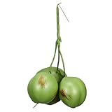 ULTECHNOVO Künstliche Kokosnüsse Dekorative Früchte Für Bauernhaus Dekoration Foto Requisiten Im Tropischen Große Und Kleine Kokosnüsse Vielseitig Einsetzbar Für Partys