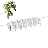 Aquarium-Dekoration, 6 Stück, transparent, zum Aufhängen, starke Saughalterung, einfache Wurzelwachstumsfunktion | für Aquarium und Haus