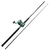 Sougayilang Premium Wallerrute und Rolle Combo - Mittelschwere zweiteilige Wallerrute konventionelle Rollenkombi für Wels, Lachs und Steelhead