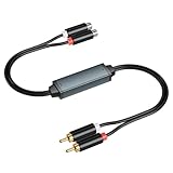 eppfun AV100C Entstörfilter, Ground Loop Isolator für Auto Heim Stereo System/Bluetooth-Lautsprecher, Audio Filter mit Cinch Audiokabel, 2 PCS
