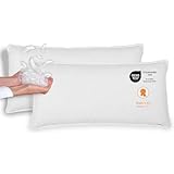 sleepling 2er Set Daunenkissen Federkissen 40x80 cm, 100% Daunen & Federn, Kopfkissen Sofakissen, 60 Grad waschbar, Kissen aus 100% Baumwolle, weiß