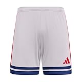 adidas Herren SQUADRA25 Short, Glory Grey/Team Navy Blue 2/Pure Ruby, L