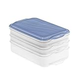 Rotho Rondo Foodcenter Vorratsdosen mit Deckel, Transparent/Blau