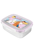 United Labels Bibi & Tina Edelstahl Brotdose - BFF Pferde Lunchbox Metall Butterbrotdose mit Kunststoffdeckel