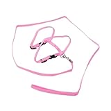 PENIKOKO Verstellbares Katzen Geschirr mit Leine Leichtes Nylon Hundegeschirr für Katzen Atmungsaktiv Sicherer Sitz für Indoor und Outdoor Katzenzubehör