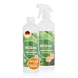 HiGloss Allzweckreiniger Konzentrat 500ml für Innen und Außen, Möbel, Wäsche, Fahrzeugpflege – Geruchslos, Ressourcenschonend, Leerflasche enthalten