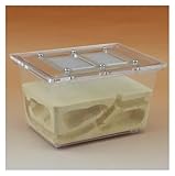 BOGAZY Ameisenfarm Ameisennestfarm Ökologisches Haustier-Ameisennest Dreidimensionale Ameisenvilla Kleines Vierseitiges Ameisenfarm-Zuchtnest Ameisen