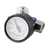 1/10.2 cm Luftdruckregler für Farbspray und Druckluftwerkzeuge mit Manometer