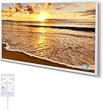 Hocosyme Infrarotheizung Bild 500 Watt, Infrarotheizung Wandmontage mit Thermostat|Wochentimer - Elektroheizung mit Überhitzungsschutz - TÜV - Strand