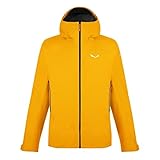 Salewa Herren Puez Gtx-pac M Jacket jacken, gold/0910, XL EU