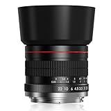 F Objektiv für Nikon – 85mm f1.8 Manuelles Fokus Portraitobjektiv für Nikon DSLRs D3500 D850 D7500 D5600 D3400 D500 D7200 D5500 D750 D810 D3300 D5300 D610 D7100 D5200 D600 D3200 D800 etc