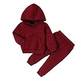 LOIJMK Trainingsanzüge für, Mädchen, Sportkleidung, einfarbiges Outfit für, Kapuzenpullover, Sweatshirt, Tops und Hosen Kinderkleidung 86 92 Junge (Red, 2-3 Years)