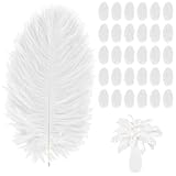 NAIKUDAGE 30 Stück StraußEnfedern, Natürliche Strauß Federn Feather Deko, 15-20cm Weich Federn Weiss, Weiße Federn zum Basteln für Hochzeiten, Esstische, Heimdekoration