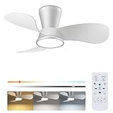 slochi Leiser Deckenventilator mit Beleuchtung 30dB, 77cm Durchmesser Großem Luftvolumen Deckenventilator mit Fernbedienung Timing Funktion, Einstellbare Helligkeit des 3000K/4000K/6500K Deckenleuchte