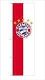 FC Bayern Hissfahne XL Flagge Logo 150 x 400 cm mit 5 Kunststoff-Karabinerhaken für Fahnenmas