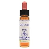 Healing Herbs - Bachblüten - Chicory - 10 ml - Für schlecht adressierte Liebesenergien, die sich in allen Altersgruppen und Geschlechtern manifestieren