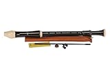 Aulos 700076 C-Tenor Blockflöte Robin Mod.211A barocke Griffw.braun, komplett mit Tasche, Wischerstab, Fettdose und Grifftabelle