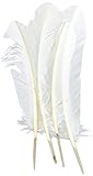 ERGEOB 20 stück Truthahnfedern basteln federn Bogen federn ERGEOB 20-30cm weiß