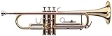 Classic Cantabile TR-39 Bb-Trompete (Schallbecher Messing 125 mm, Mundrohr Goldmessing, Stimmzug Neusilber)