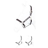 Marengos - Lederhalfter Robust – Halfter für Pferde – Pferdehalfter mit extra gepolstertem Nasenriemen & Genickstück – Messingbeschläge – mehrfach verstellbar – in Braun – Vollblut