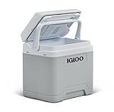 IGLOO IE24 AC/DC elektrische Kühlbox, 24 Liter, Mini-Kühlschrank 12/230 V für Auto, Boot und Freizeit, grau