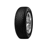 Goodride SW608 (185/65 R15 88H)