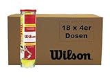 Tennisbälle Wilson Championship All Court – 72 Tennis Bälle Karton mit 18 Tennisball Dosen mit 4 Wilson Tennisbälle - Match Spieler und Tennis Training Trainer Set Tennis Geschenke Tennis Zubehör