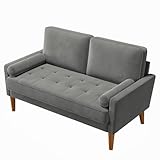 Vesgantti Couch 2 Sitzer, Samt Kleines Sofa mit 2 Wurfkissen, Modern Mini Sofa, Getuftetes Kleine Couch für Wohnzimmer/Schlafzimmer/Büro/Wohnung, 121x 77 x 87cm, Grau