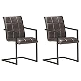 THOYTOUI Freischwinger 2 STK. Küchenstühle Esstisch stühle Schminkstuhl Gaming-Stuhl Geeignet für Aufenthaltsraum Schlafzimmer Küche Atelier Grau Echtleder