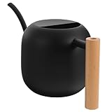 Homoyoyo Edelstahl Gießkanne mit Holzgriff Langer Ausguss Rostfrei Vintage Blumengießkanne für Garten Büro und Zimmerpflanzen für Sukkulenten und Blumenpflege