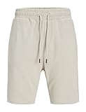 JACK & JONES JPSTBRADLEY Sweat Shorts SN GMS