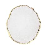 TEOYALL Harz Nagel Kunst Palette Maniküre Gemalt Palette Nagellack Farbmisch Palette Nagelmalerei Display Fach Nagel DIY Zubehör (Weiß)