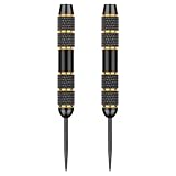 Morain 2 x Stahlspitzen-Dart-Barrels, 22 g, professionelle Dartpfeile, Ersatz-Barrels, einfach zu verwenden
