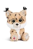 NICI GLUBSCHIS Luchs Lenzo 15cm I Schlenkernder Kuscheltier Luchs mit großen Glitzeraugen I Plüschtier für Schmusetierliebhaber I Stofftier – 49295