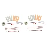 FRCOLOR 2 Sätze Fruchtbatterie Experimentierset Metall DIY Wissenschaftsspielzeug Elektrizität Schüler Lernspielzeug Pädagogisch Sicher Wiederverwendbar zum Selbermachen und Forschen