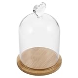 MAGICLULU Erhaltene Blumenglasabdeckung Display-cloche Ausstellungskuppel Glocke Glaskuppel Mini-tortenständer Mit Kuppel Glaskuppel Glasabdeckung Mini Mit Sockel Glaskuppeldisplay Holz