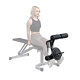 Body-Solid GLDA-1 Beinstrecker Beinbeuger Aufsatz | optionales Zubehör für Body-Solid Hantelbank GFID-31 und PFID-130X | Beintrainer | Leg Developer Attachment