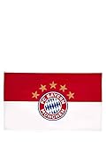 FC Bayern München Hissfahne | Bannerfahne | Logo | Rot-Weiß