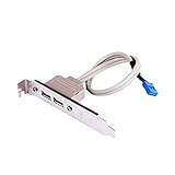 MISUVRSE USB 2.0 Port PCI-Halterungskabel mit eingebautem 9-poligem Header USB 2.0 Motherboard-Verlängerungskabel für Computer für Gehäuse-Motherboard-Anschlüsse