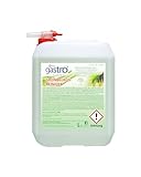 Schillings Gastro 6L Flüssig Grünbelagsreiniger - Effektive Entfernung von Moos, Algen & Grünbelägen - Für Terrassen, Wege & Mehr - Hochkonzentrierte Formel für langanhaltende Sauberkeit
