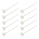 BESPORTBLE 24 Stück Teiliges Duft Diffuser Stäbchen mit Getrockneten Holzblumen Natürliche Aromatherapie Raumduftstäbchen für Wohnzimmer und Büro Dekorative Langanhaltende Duftverbreitung