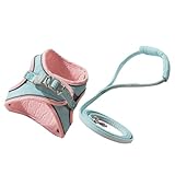 Toddmomy 1 Satz Leine Anschnallen Für Katzen Mit Verstellbares Laufseil Haustierkabelbaum Zugband Für Haustierkatzen Bequemes Katzengeschirr Katzenleine Rosa Wildleder-