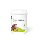 PHA Muskel & Leistung für Pferde – Mineralstoffe und Vitamine für Muskelaufbau & Leistungsfähigkeit, mit Vitamin E, Magnesium & Selen, Pulver 850 g