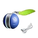 Generisch Katzenball Spielzeug,2-Geschwindigkeit Type-C Aufladbares Zubehör - Anregende Katzenspielzeuge Mit Schwanz,Für Indoor Outdoor Spiel Training Übung Jagdsimulation Klettern